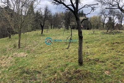 Teren Construcții intravilan de 5041.41015625 mp, în Voineasa - 6