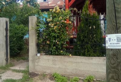 Casă cu 3 camere cu Teren 1100 Mp în Dimăcheni - 3