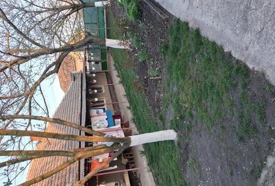 Casă cu Teren 2500 Mp în Otelec - 5
