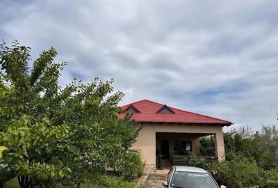 Casă cu 4 camere cu Teren 1700 Mp în Pietroasele - 10