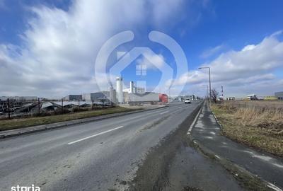 Teren de 5000 mp, în Vest