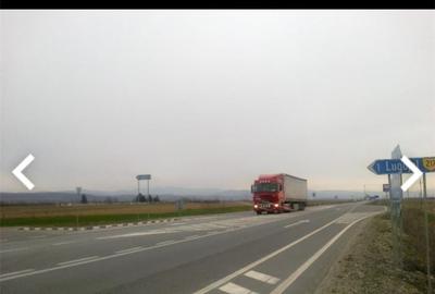 Teren de 5500 mp, în Lugojel - 5
