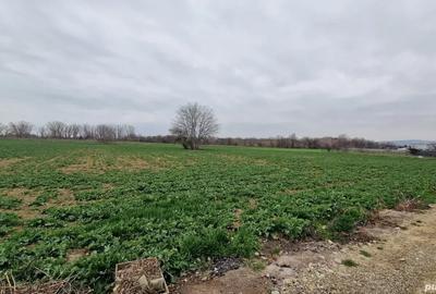 Teren de 2000 mp, în Sud - 1