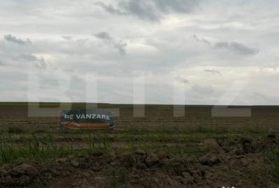 Teren în Central