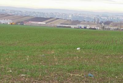Teren agricol intravilan în Periferie - 9