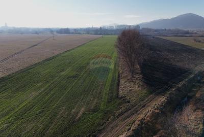 Teren agricol extravilan de 6655 mp, în Hărman - 6