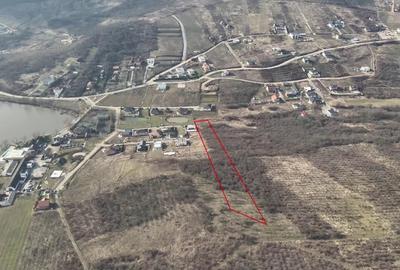 Teren intravilan de 7900 mp, în Săldăbagiu de Munte