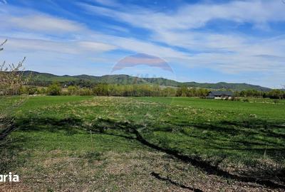 Teren de 10000 mp, în Vânători-Neamț - 13