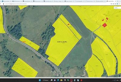 Teren agricol extravilan de 42400 mp, în Nadeș - 5