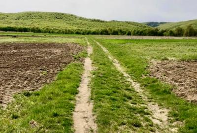 Teren de 3700 mp, în Bârsești (Budești) - 8