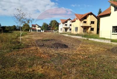 Teren Construcții intravilan de 1000 mp, în Snagov - 5