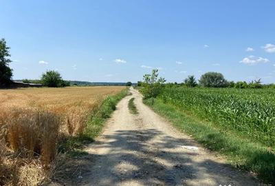 Teren în Snagov