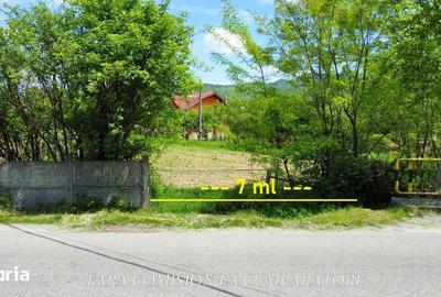 Teren de 1965 mp, în Păușești - 4