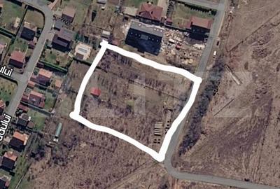 Teren Construcții intravilan de 1160 mp, în Livezeni