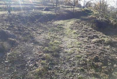 Teren agricol extravilan de 4460 mp, în Podgoria - 4