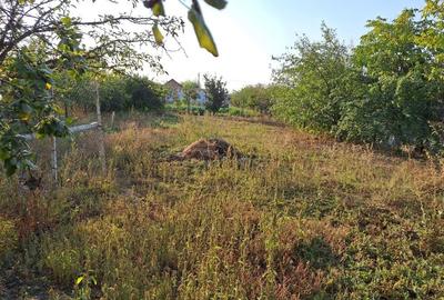 Casă cu 4 camere în Vulturu - 1