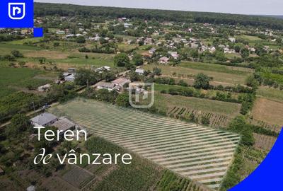 Teren Construcții intravilan de 3285 mp, în Ionășeni (Trușești) - 1