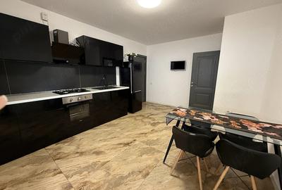 Casă cu Teren 250 Mp în Craiovei - 4