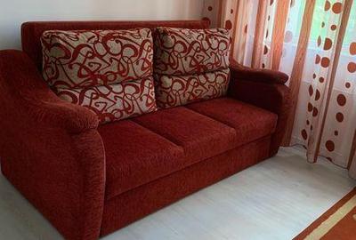 Apartament cu 2 camere semidecomandat în Blejoi - 4