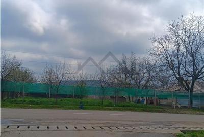 Teren de 46000 mp, în Aroneanu
