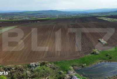 Teren de 2700 mp, în 700