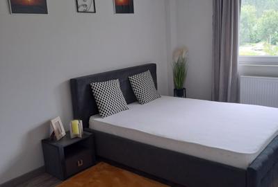 Apartament cu 2 camere semidecomandat în Florești - 7