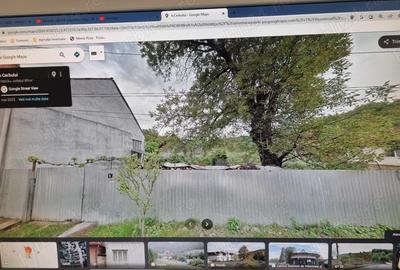 Casă cu 3 camere în Vașcău - 1