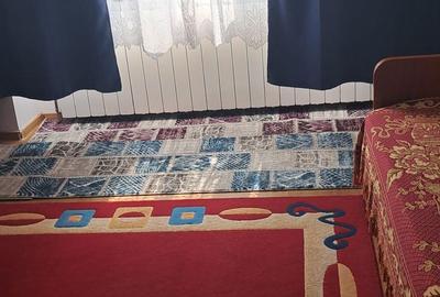 Apartament cu 3 camere decomandat, mobilat în Independenței - 11