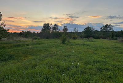 Teren de 2700 mp, în Brănești