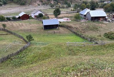 Teren în Negrileasa - 3