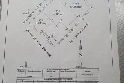 Casă în Alexandru cel Bun - 2