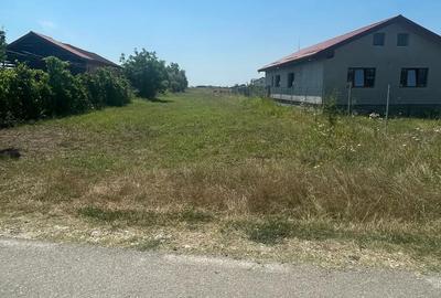 Teren de 2585 mp, în Icoana - 8