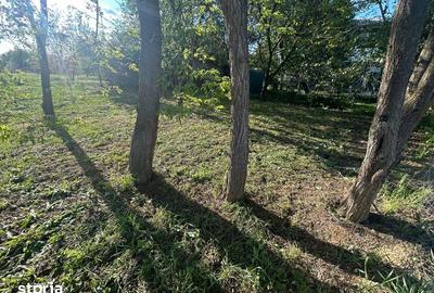 Teren de 1350 mp, în Bercu Roșu - 5
