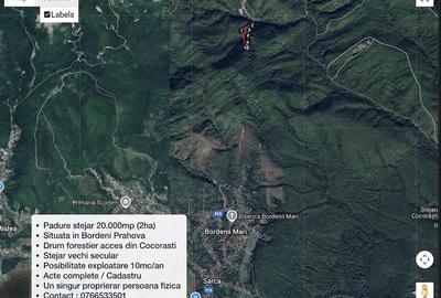 Teren de 20000 mp, în Bordenii Mari - 3