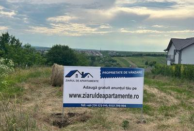 Teren agricol intravilan de 3271 mp, în Valea Lupului - 1