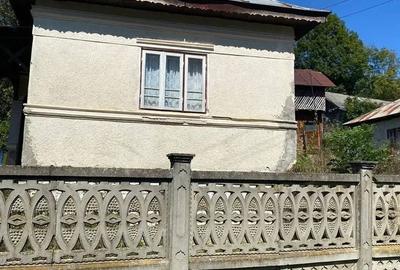 Spațiu comercial, în Dospinești