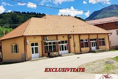 Spațiu comercial, de 400 mp, în Ocoliș - 1
