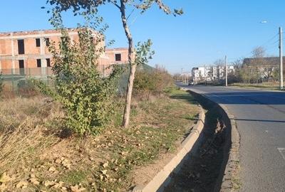 Teren Construcții intravilan de 2850 mp, în Tunari - 2