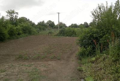 Teren de 1330 mp, în Răzoarele - 4