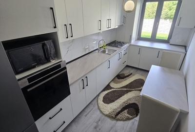 Apartament cu 2 camere în Burdea - 13