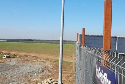 Teren de 7000 mp, în Brănești - 6