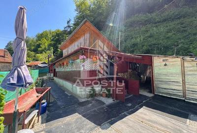 Casă cu 2 camere cu Teren 307 Mp în Criș