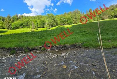 Teren de 57000 mp, în Vama Buzăului - 12