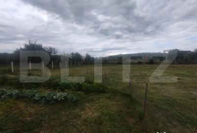 Casă cu 3 camere cu Teren 2508 Mp în Central - 2