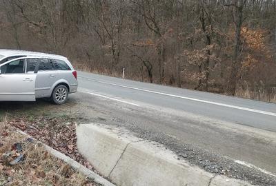 Teren de 2900 mp, în Crișeni