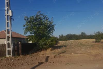 Teren de 4611 mp, în Corbu - 3