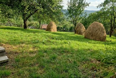 Teren de 1050 mp, în Valea Doftanei - 7