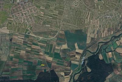 Teren agricol extravilan de 5500 mp, în Giroc - 1