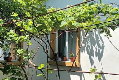 Casă cu 4 camere în Limanu - 1