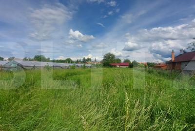Casă cu 2 camere cu Teren 1760 Mp în Sântionlunca - 7